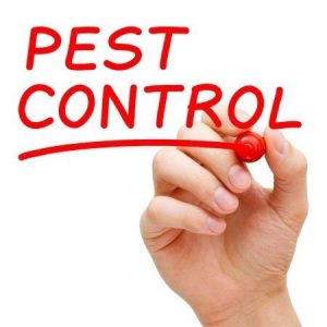 Pest Control Wagner OK